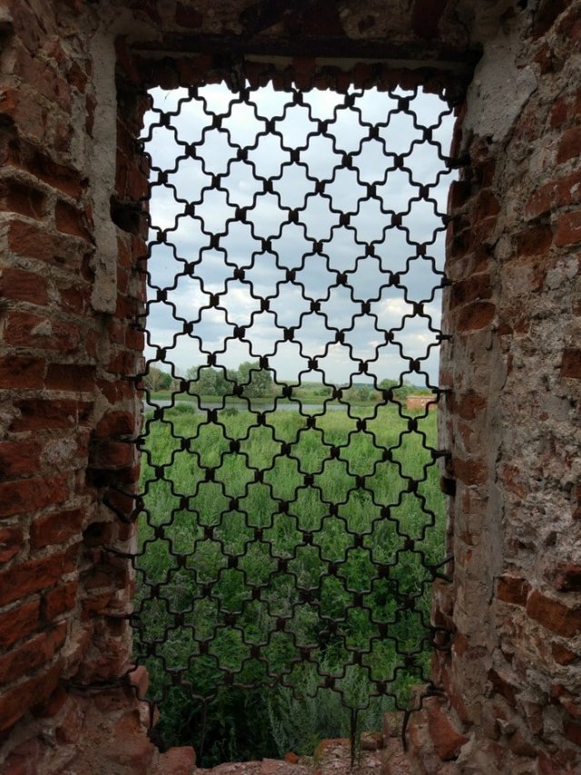 Подборка фотографий для перфекционистов (18 фото)