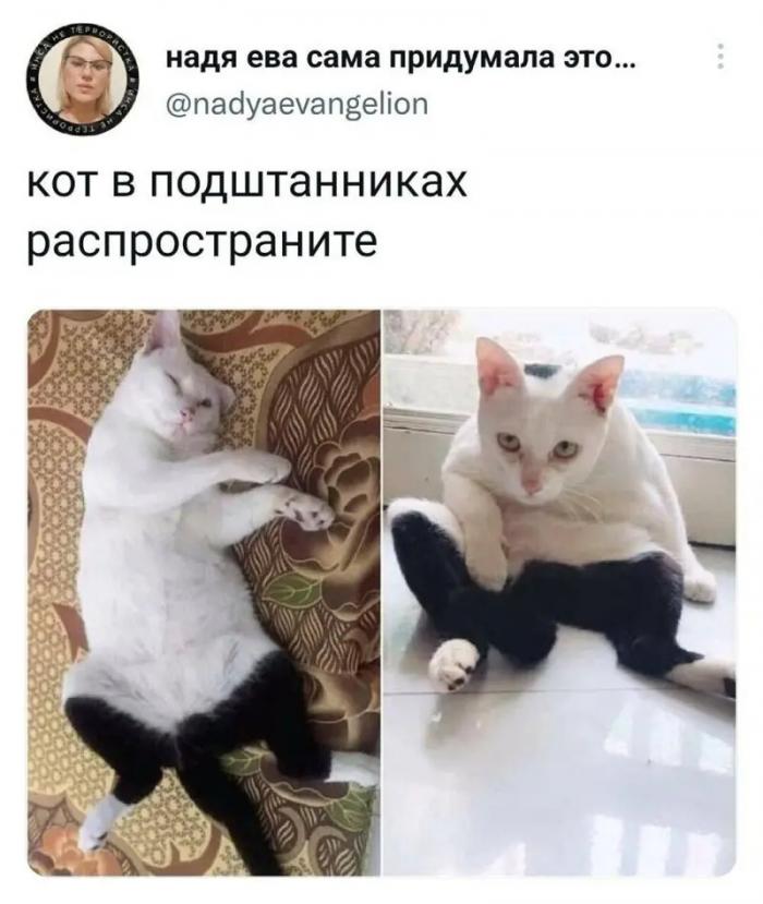 Подборка забавных твитов обо всем