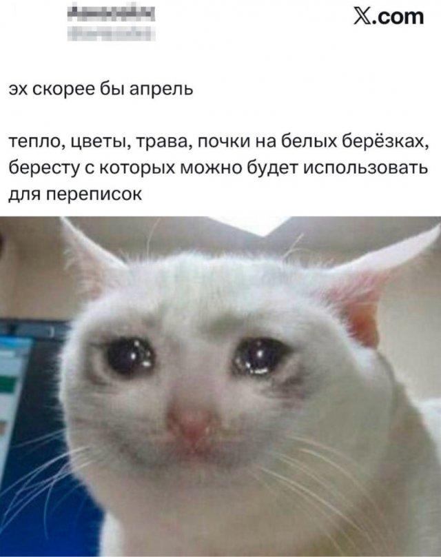 Подборка прикольных фото №3898