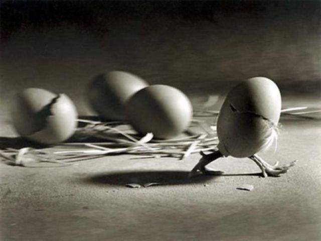 Подборка прикольных фото №3886