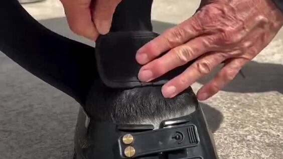 Кроссовки для лошадей
Кроссовки для лошадей