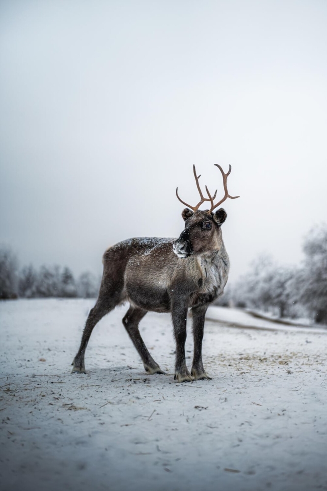 
        30&nbsp;фото, доказывающих, что&nbsp;чудо гораздо ближе, чем&nbsp;мы&nbsp;думаем    