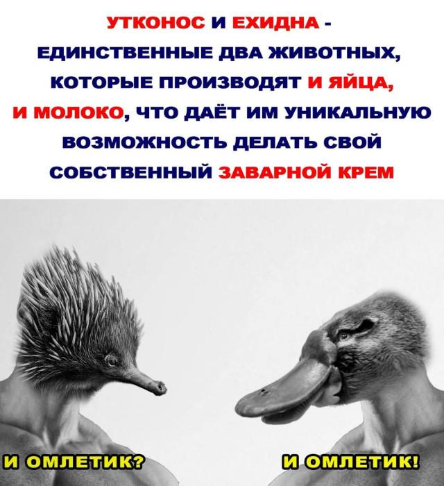 Подборка прикольных фото №3882