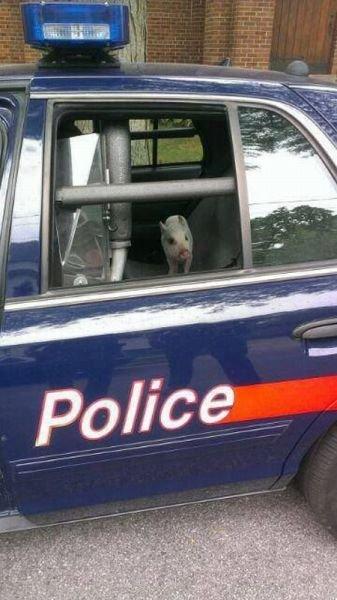 Подборка прикольных фото №3880