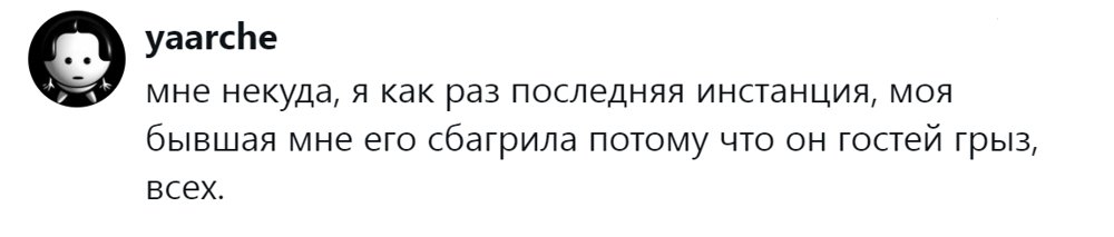 
        &laquo;Цыганам или&nbsp;в&nbsp;кошачий детдом&raquo;: пользователи назвали места, куда грозят отдать кота после переполнения чаши терпения    