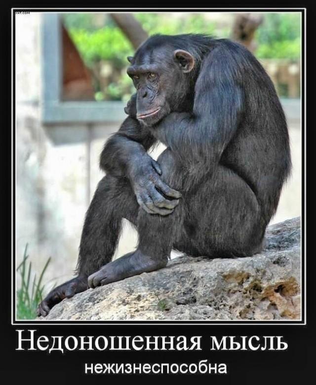 
			Демотиваторы №3784 (15 фото)