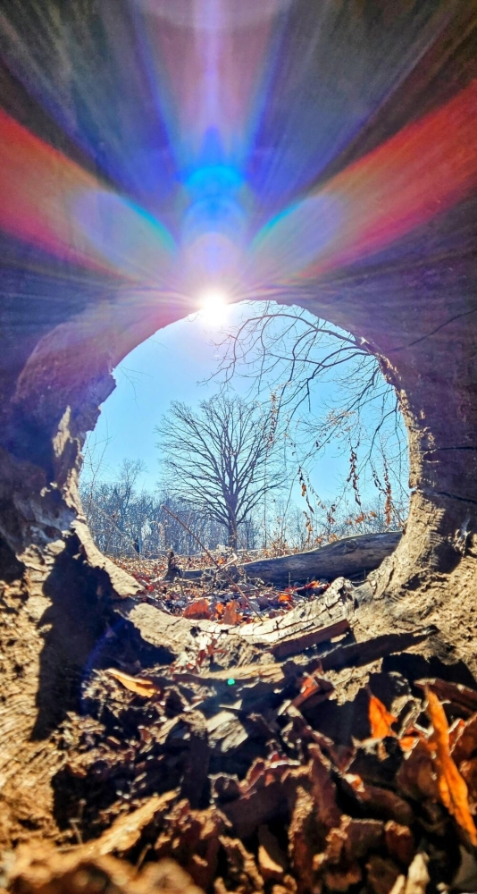 
        30&nbsp;фото, доказывающих, что&nbsp;чудо гораздо ближе, чем&nbsp;мы&nbsp;думаем    