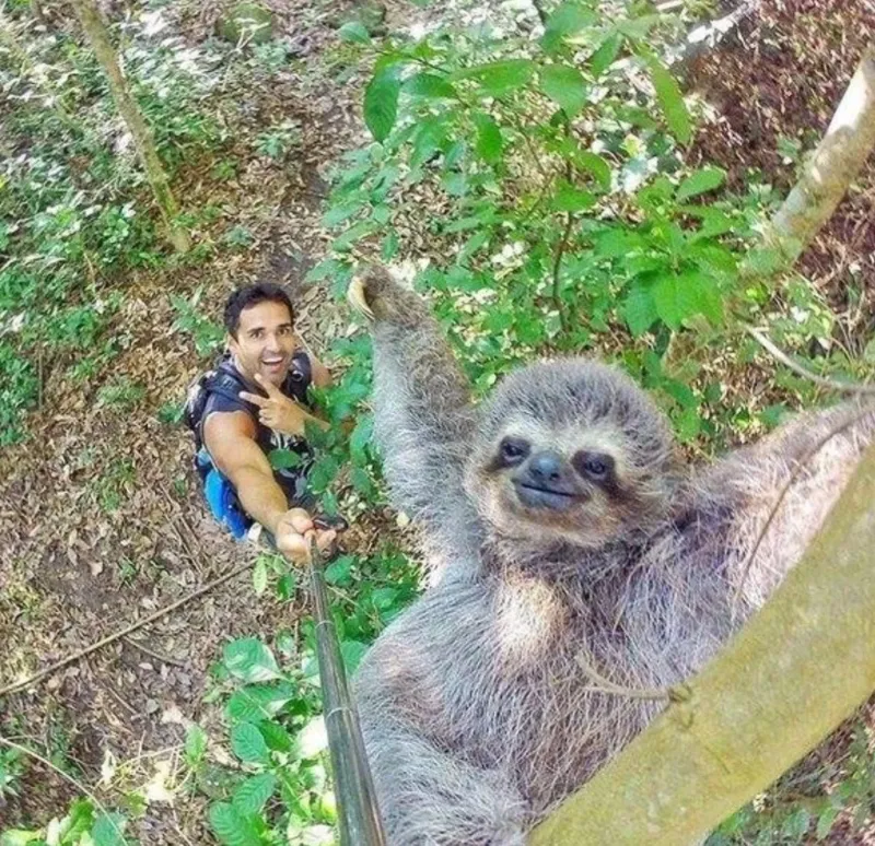 
        25&nbsp;обаятельных симпатяг, селфи которых явно лучше наших    