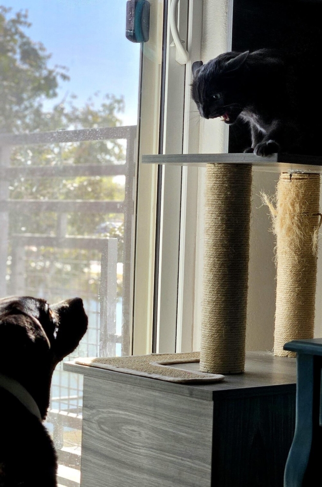 
        30&nbsp;снимков, запечатлевших простую красоту нашего мира    