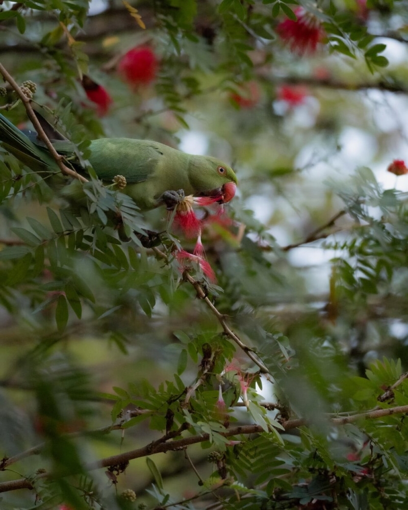 
        30&nbsp;снимков, запечатлевших простую красоту нашего мира    
