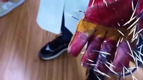 
        Как&nbsp;животным делают КТ: милота дня    