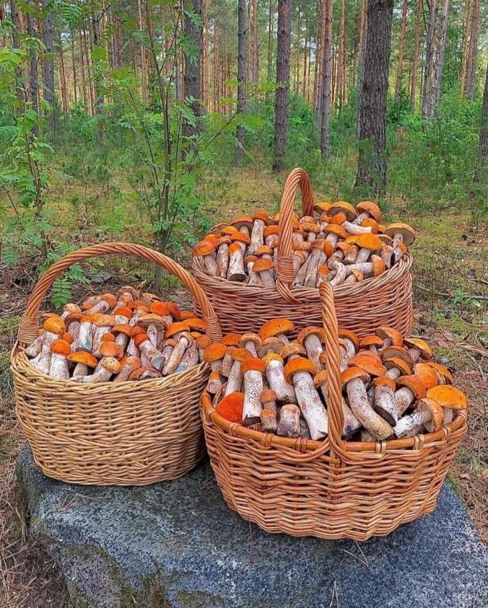 Подборка прикольных фото №3888