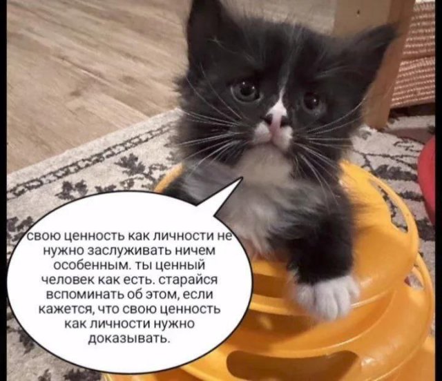 Лучшие шутки и мемы из Сети - 04.02.2026 (15 фото)