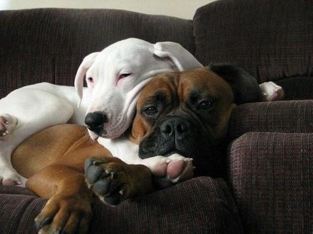 Подборка прикольных фото №3894