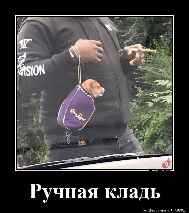 
			Демотиваторы №3785 (18 фото)