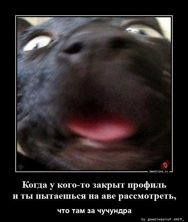 
			Демотиваторы №3783 (15 фото)