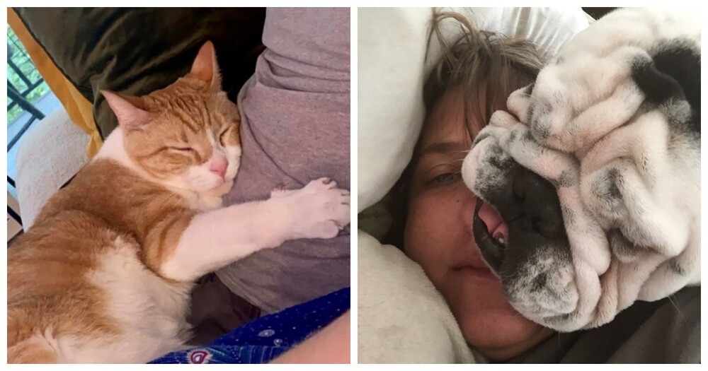 
        20+ питомцев, которые не&nbsp;могут существовать без&nbsp;своего человека    