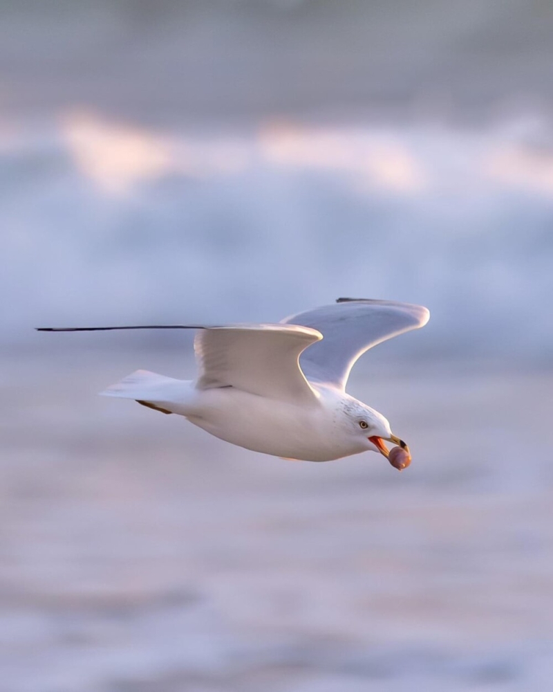 
        30&nbsp;фото, доказывающих, что&nbsp;чудо гораздо ближе, чем&nbsp;мы&nbsp;думаем    