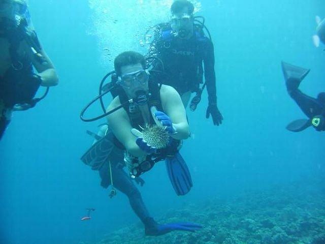 Подборка прикольных фото №3884