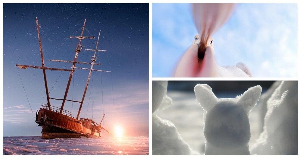 
        30&nbsp;фото, доказывающих, что&nbsp;чудо гораздо ближе, чем&nbsp;мы&nbsp;думаем    