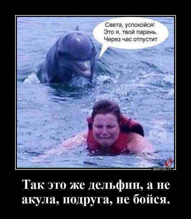 
			Демотиваторы №3786 (15 фото)