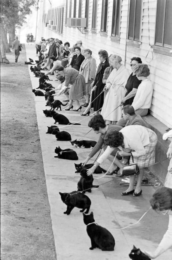 Подборка прикольных фото №3894