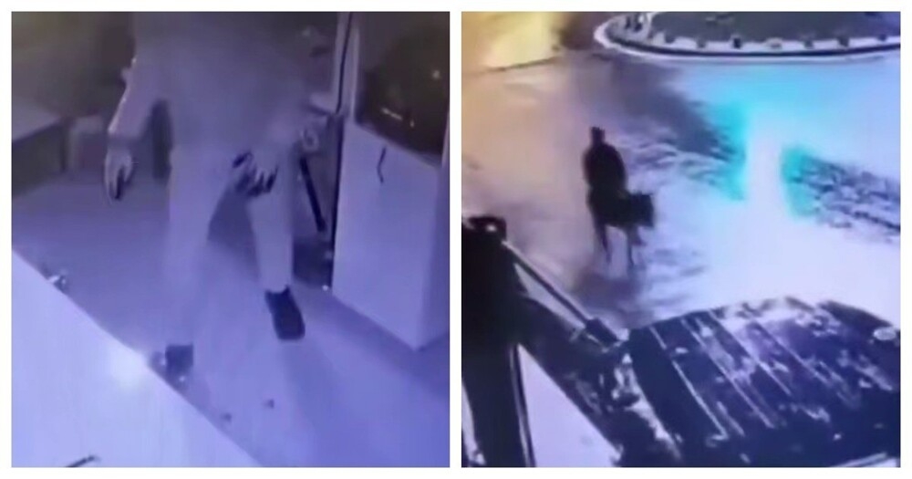 
        Грабитель скрылся с&nbsp;места преступления на&nbsp;осле    