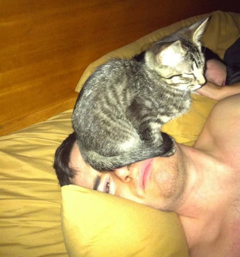 
        20&nbsp;фото животных, которые одновременно умиляют и&nbsp;пугают    