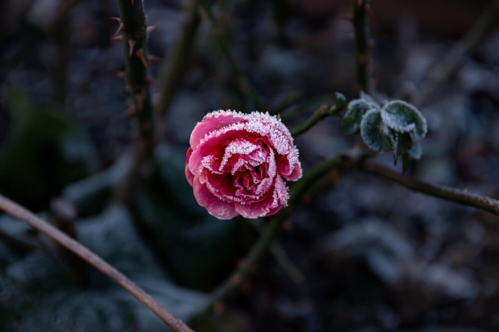 
        30&nbsp;снимков, запечатлевших простую красоту нашего мира    