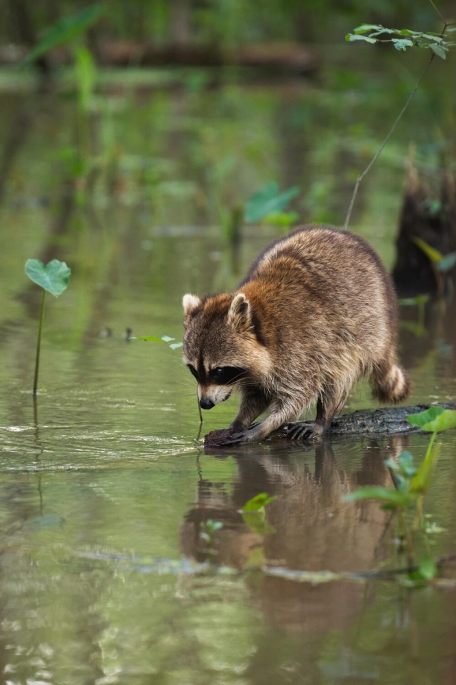 
        30&nbsp;фото, доказывающих, что&nbsp;чудо гораздо ближе, чем&nbsp;мы&nbsp;думаем    