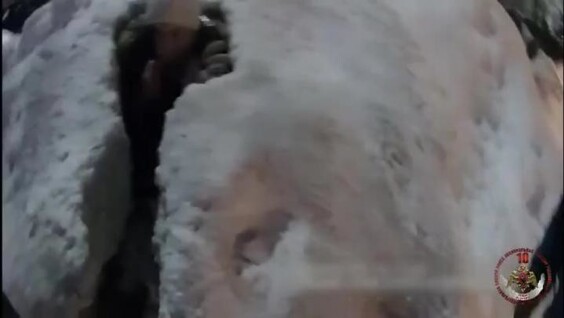 
        Росгвардейцы спасли школьницу, застрявшую в&nbsp;сугробе    