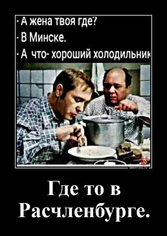 
			Демотиваторы №3785 (18 фото)