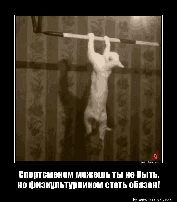 
			Демотиваторы №3783 (15 фото)