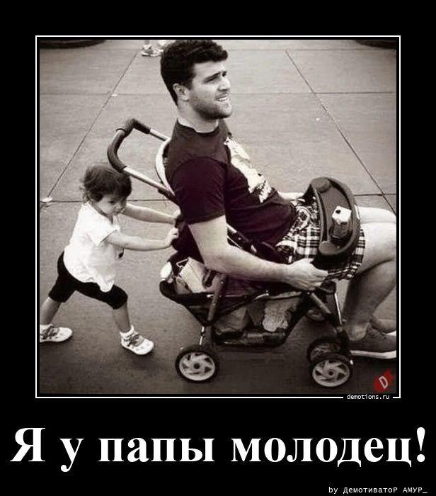 
			Демотиваторы №3786 (15 фото)