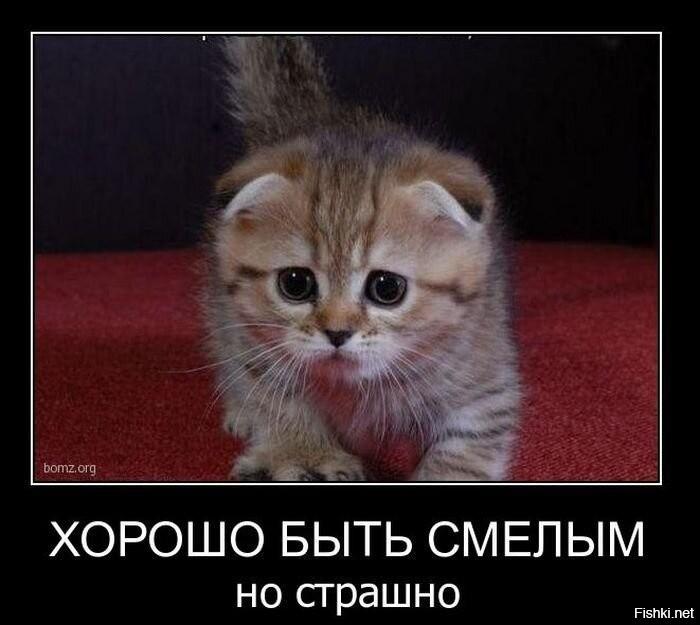 
			Демотиваторы №3787 (20 фото)