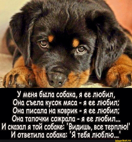 История №1581735 История №1581735