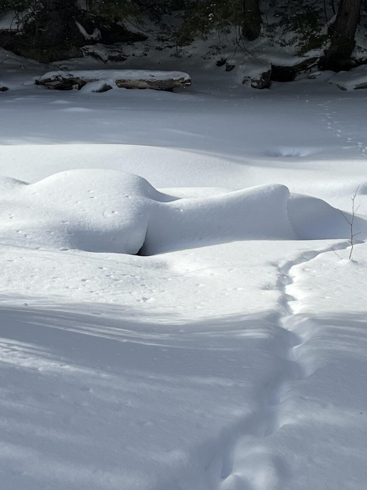 
        30&nbsp;фото, доказывающих, что&nbsp;чудо гораздо ближе, чем&nbsp;мы&nbsp;думаем    