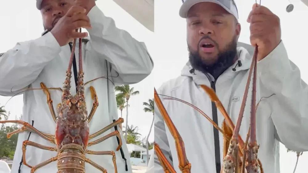 
        Похвастался уловом &mdash; получил удар: гигантский лобстер &laquo;отомстил&raquo; рыбаку    