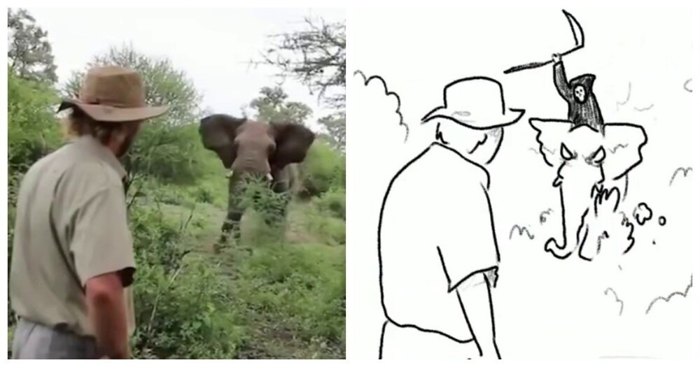 
        Когда ангел-хранитель работает в&nbsp;поте лица    