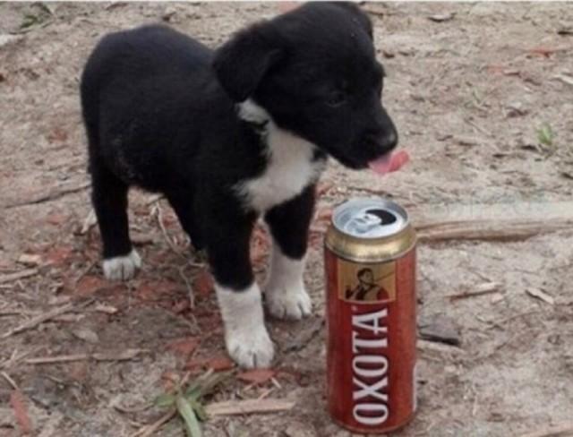 Подборка прикольных фото №3893