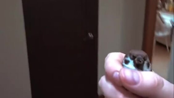 Мужчина хотел как лучше, а получилось как всегда
Мужчина хотел как лучше, а получилось как всегда