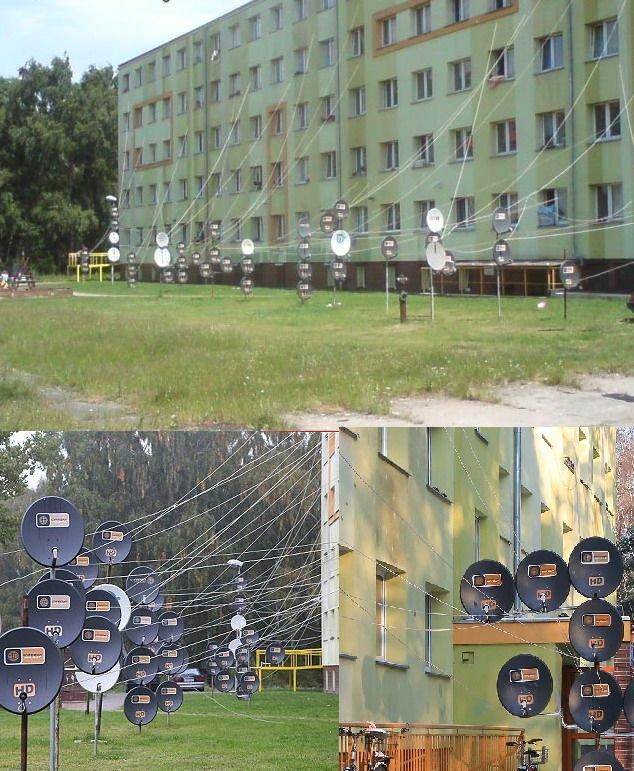 Подборка прикольных фото №3884