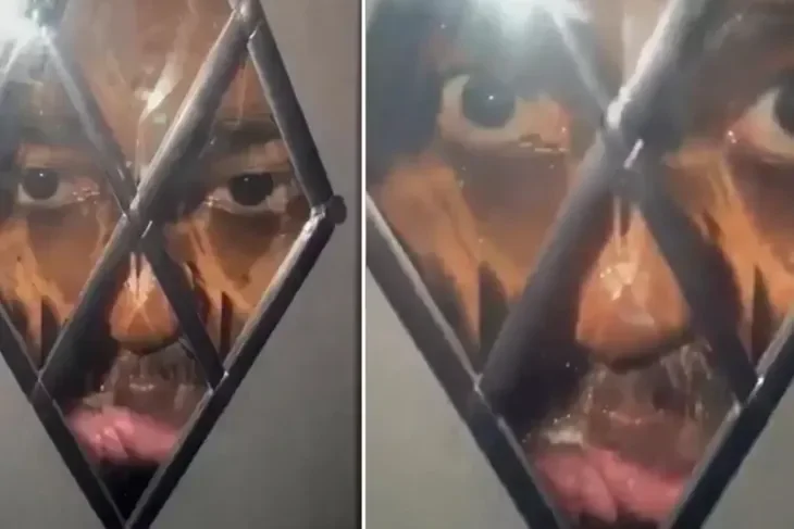 
        В&nbsp;Англии неизвестный ночью смотрел в&nbsp;стеклянную дверь дома    