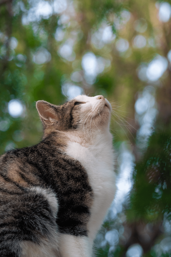 
        30&nbsp;фото, доказывающих, что&nbsp;чудо гораздо ближе, чем&nbsp;мы&nbsp;думаем    