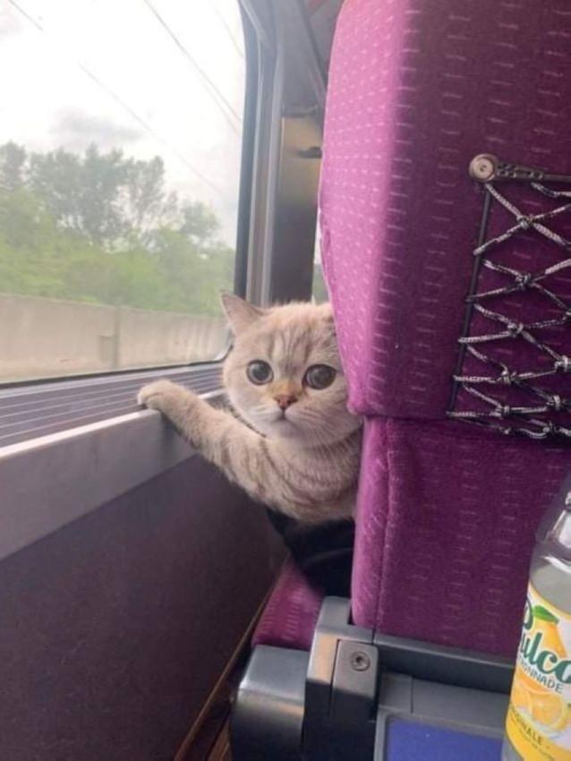 Подборка прикольных фото №3894