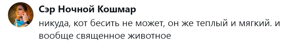 
        &laquo;Цыганам или&nbsp;в&nbsp;кошачий детдом&raquo;: пользователи назвали места, куда грозят отдать кота после переполнения чаши терпения    