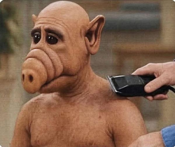 Подборка прикольных фото №3893