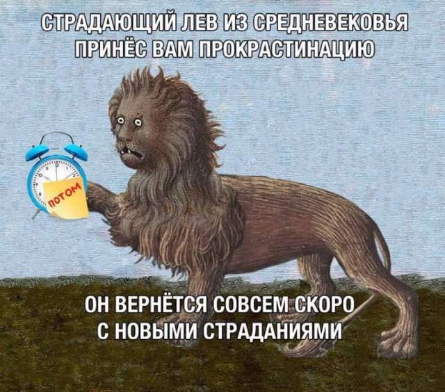 Лучшие шутки и мемы из Сети - 06.02.2026 (15 фото)