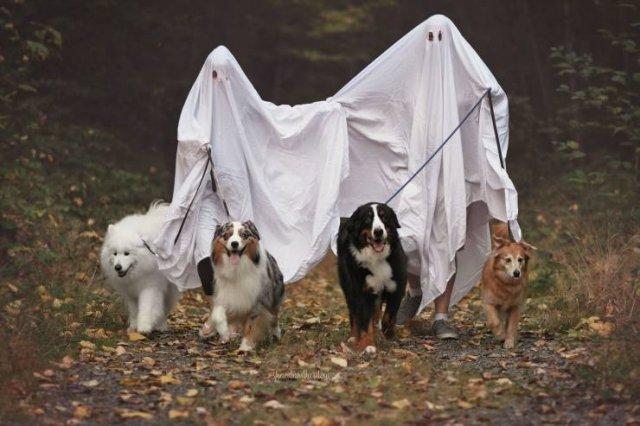 Подборка прикольных фото №3885