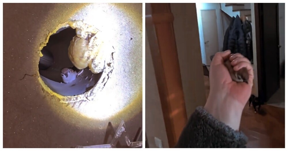 
        Мужчина хотел как&nbsp;лучше, а&nbsp;получилось как&nbsp;всегда    